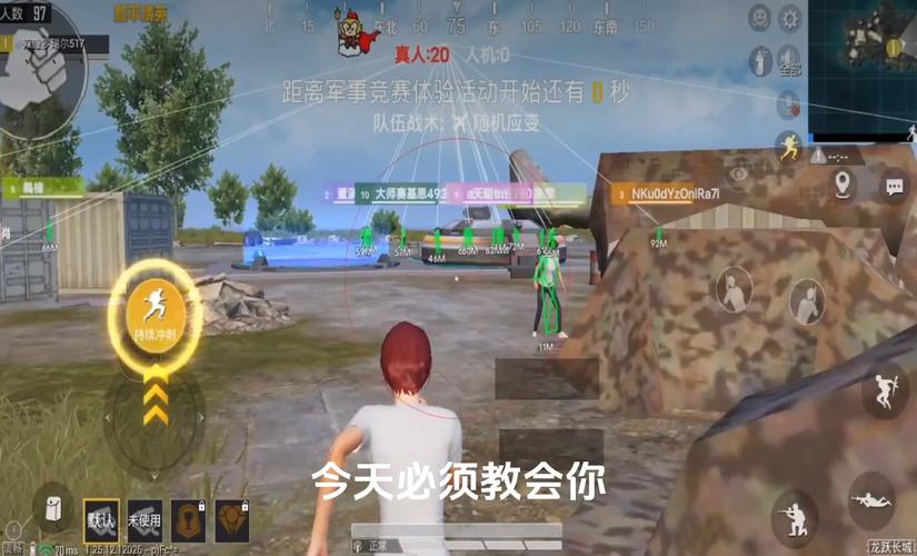 和平精英辅助软件的发展与影响分析